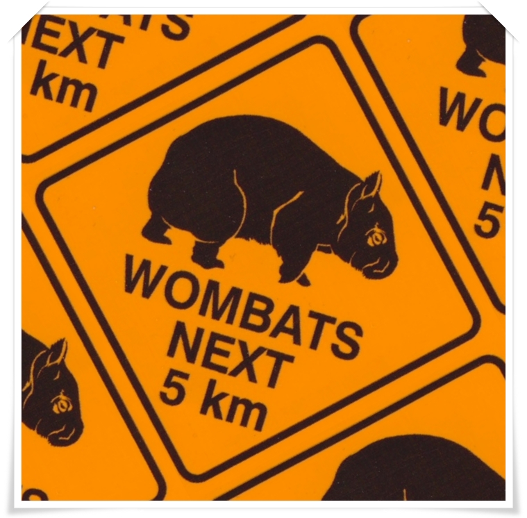 Wombat Stickers