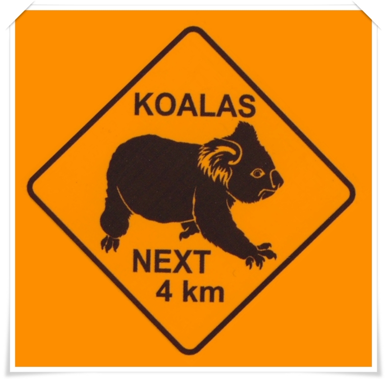 Koala Stickers